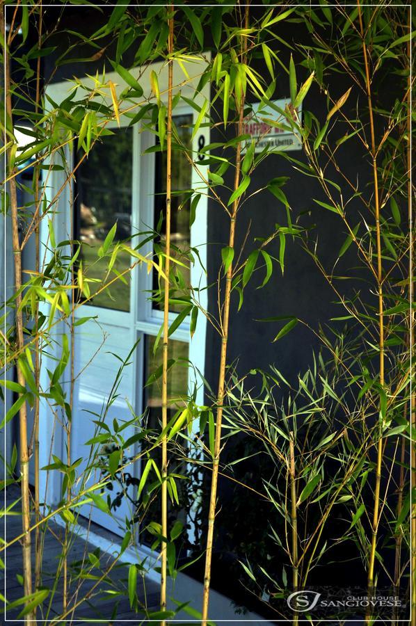 Sangiovese Cabanas San Rafael (Mendoza) Exterior foto